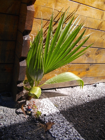 oh, enfin a ma taille